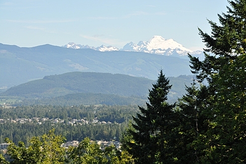 burried mount vernon