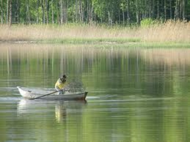 A One-Woman Crime Wave