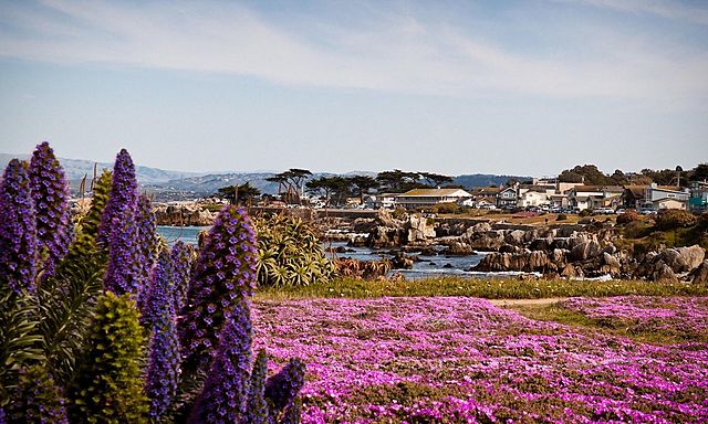 Where did he get married