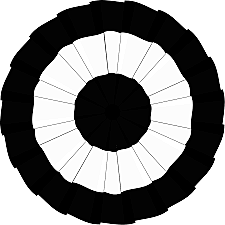 unusal facts that happend in politac party