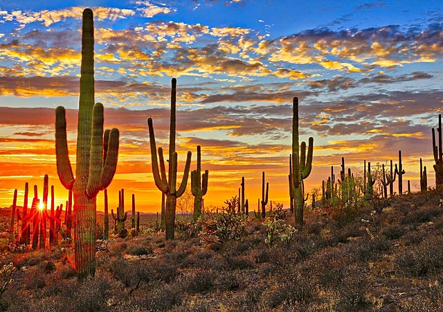 News event on office