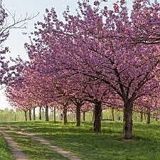 News event in office