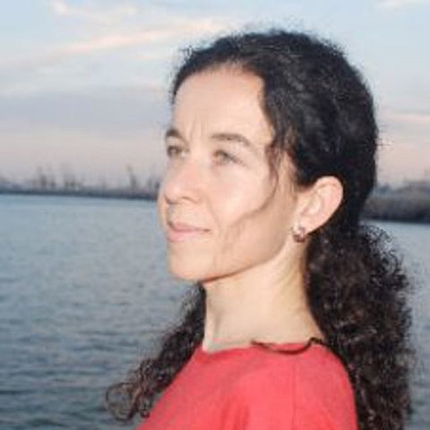 Zoia Bozu -competencias profesionales del docente