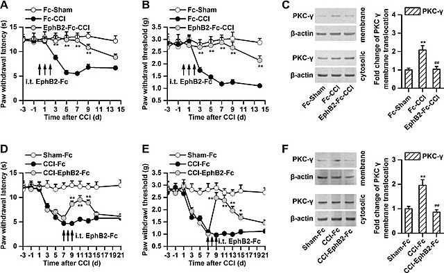 CCI releases 9/11 findings