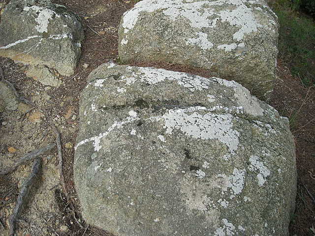 Génesis mineral (Cairns-Smith)