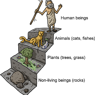 Timeline: Species, Monsters, & Things In Between