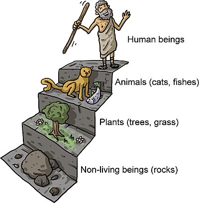 Aristotle Develops "Ladder of Nature"