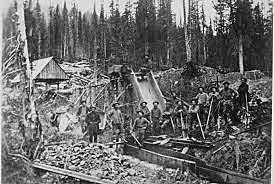 California Gold Rush