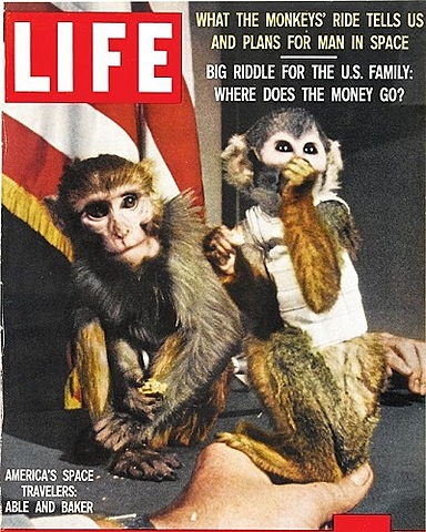 First animal in space by USA