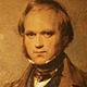The young charles darwin 008