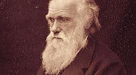 Timeline: Rayan`s timeline