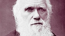 Timeline: Lainey's Charles Darwin timeline
