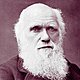 Charles darwin.jpg  1920x1080 q85 crop subject location 630,678 subsampling 2