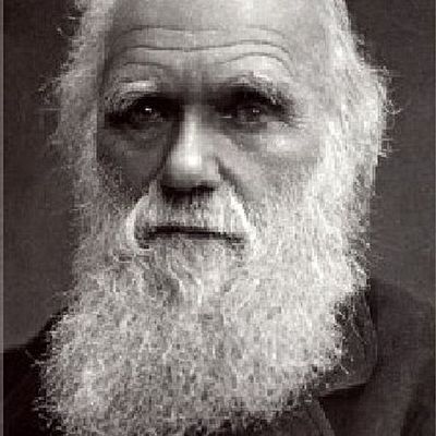 Timeline: Ewans charles darwin timeline