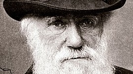 Timeline: owen's charles dawin timeline