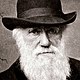Charles darwin photo (1)