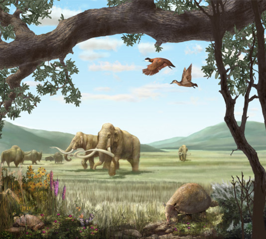 Cenozoic Era: 65 million yrs ago-present
