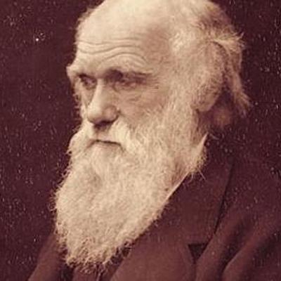 Timeline: Archie's Charles Darwin timeline
