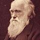 Charlesdarwin