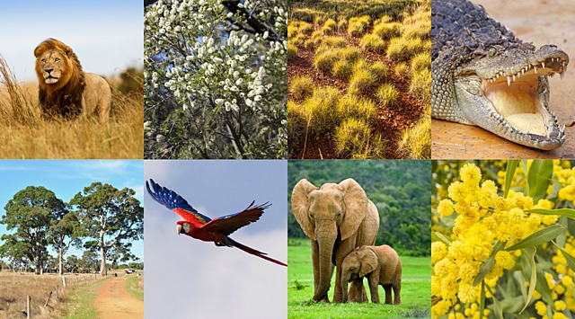 University challenge