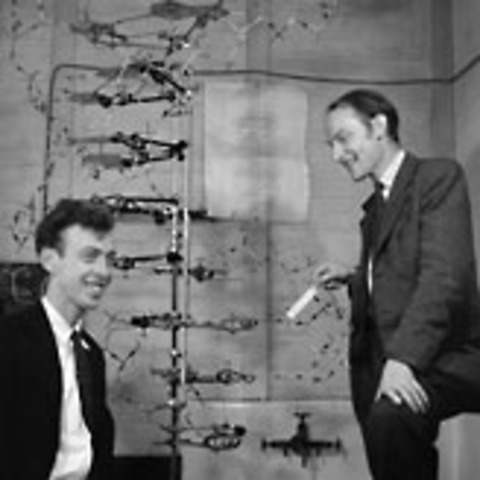 James Watson and Francis Crick
