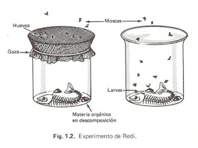 Generación espontánea