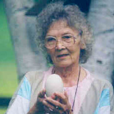 Timeline: Meeri Zetterstrom Timeline