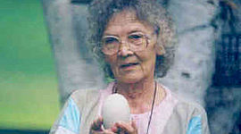 Timeline: Meeri Zetterstrom Timeline