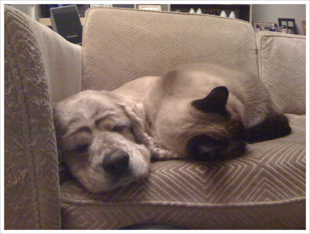 Bunbun & Miumiu met the first time