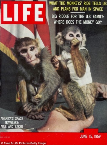 First Creatures To Survive A Space Flight