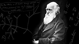 Timeline: Charles Darwin