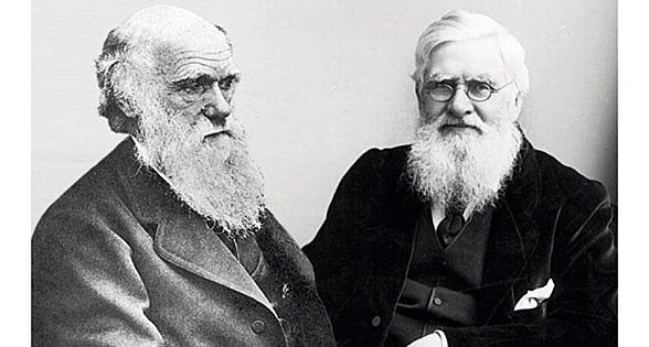 Darwin (1809-1882) y Wallace (1823-1913).  La selección natural