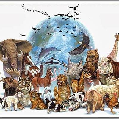 Timeline: Fijistas y Evolucionistas