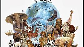 Timeline: Fijistas y Evolucionistas