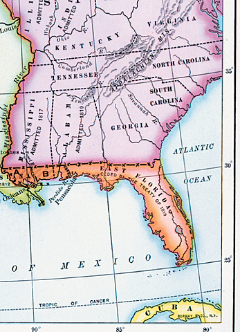 Adams-Onís Treaty (The Purchase of Florida)