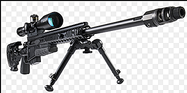 Accuracy International