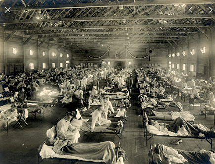 (everyone) Spanish Influenza (1918)