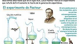 Timeline: Cronograma sobre la generación Espontánea y la Biogénesis.