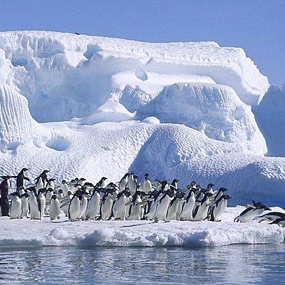 Timeline: Expediciones al polo norte