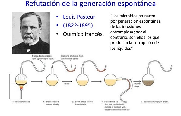 Louis Pasteur (Postulando la ley de la biogénesis)