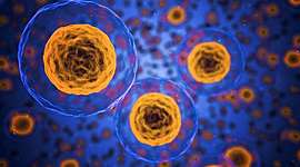 Timeline: Cell theory Timeline