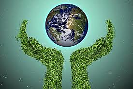 Contributing to this world?