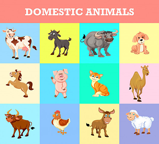 LOS ANIMALES DOMESTICOS