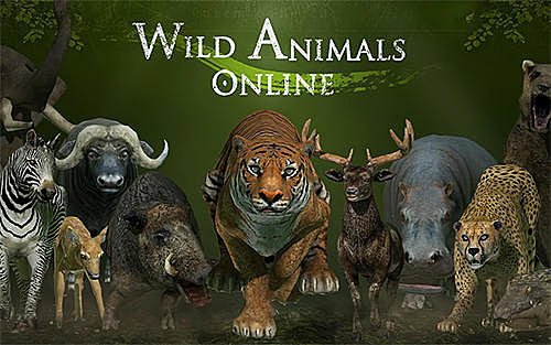 WILD ANIMALS