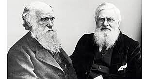 Darwin y Wallace