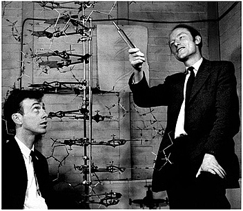 J. D. Watson e F. Crick scoprono la struttura a doppia elica del DNA