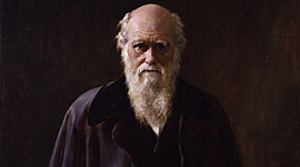 Timeline: Darwin - Jose Antonio Álvarez Álvarez