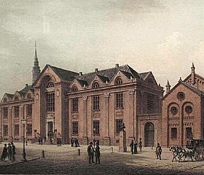 Undergraduate Enrollment