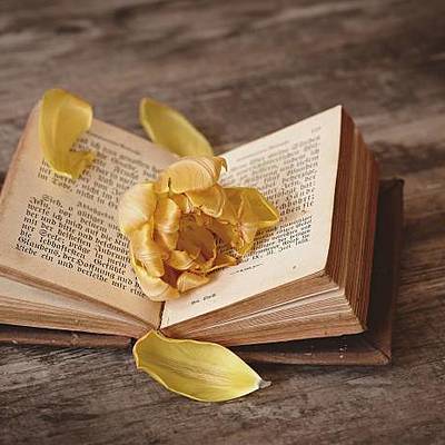 Timeline: ENGLISH LITERATURE