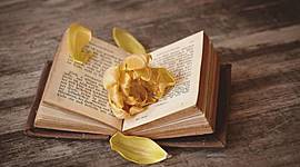 Timeline: ENGLISH LITERATURE